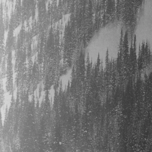 Vintlechkeit : Vi Drømmer om Stjernene Hvor Gudene Sovnet...